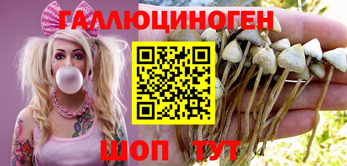 Галлюциногенные грибы Magic Shrooms Среднеуральск