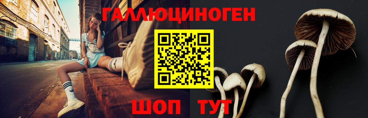 Среднеуральск  Псилоцибиновые грибы Psilocybe  Галлюциногенные грибы Psilocybe  Вход с VPN 
